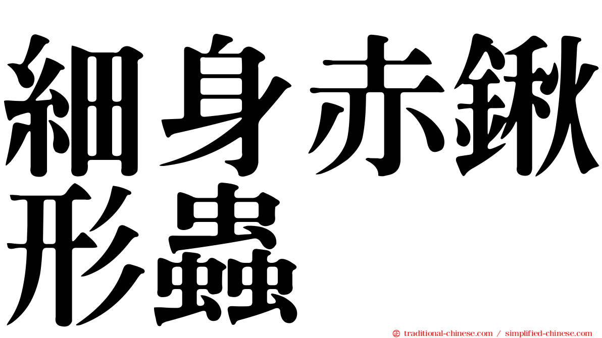 細身赤鍬形蟲