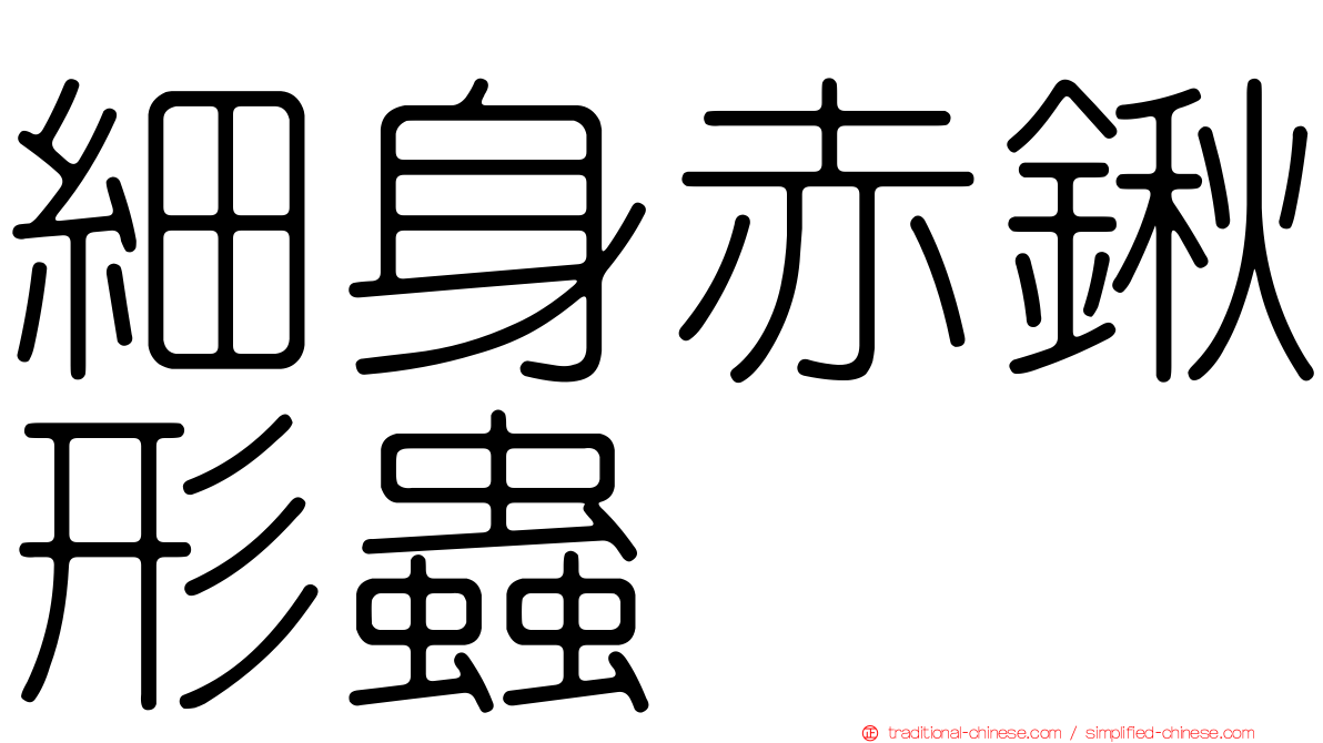細身赤鍬形蟲