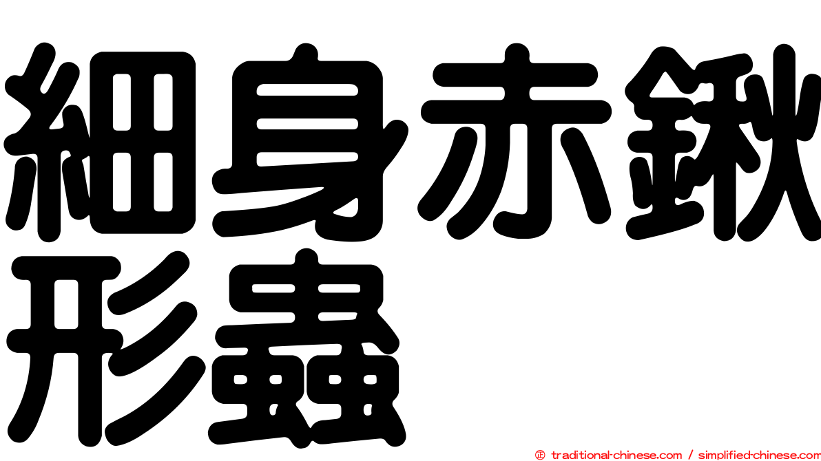 細身赤鍬形蟲
