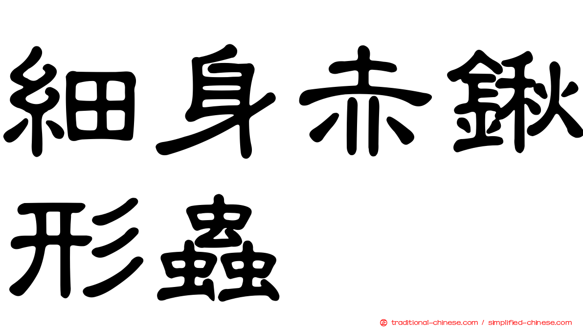 細身赤鍬形蟲
