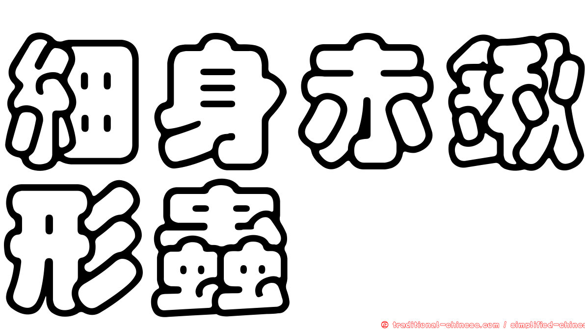 細身赤鍬形蟲
