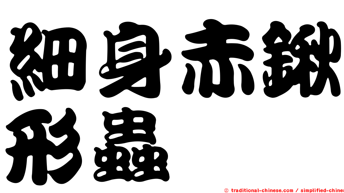 細身赤鍬形蟲