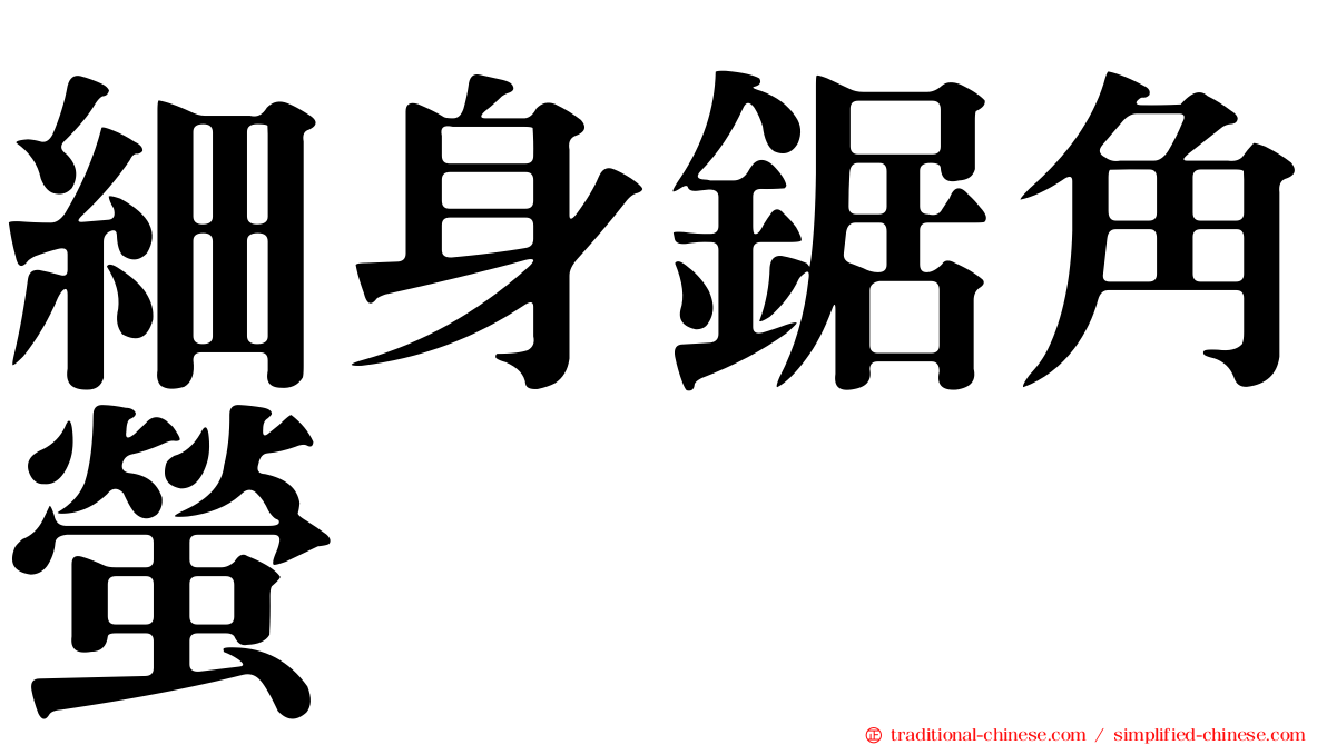 細身鋸角螢