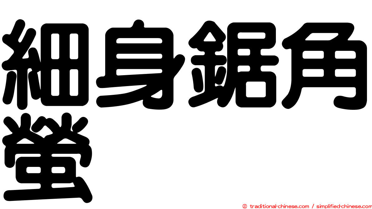 細身鋸角螢