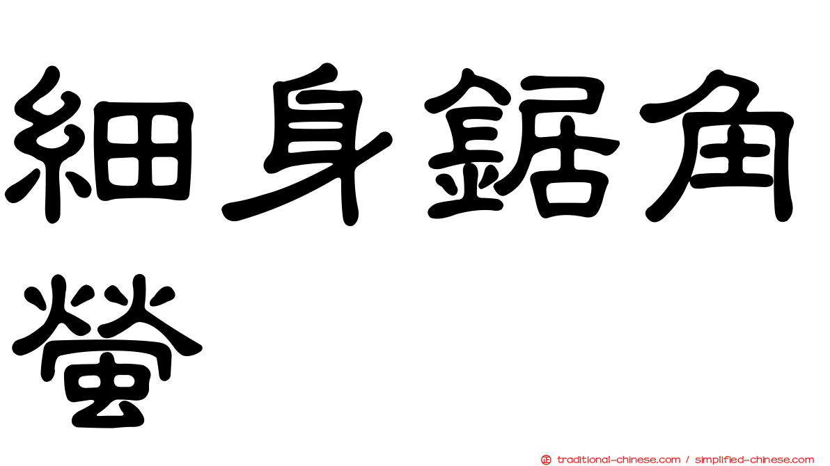 細身鋸角螢