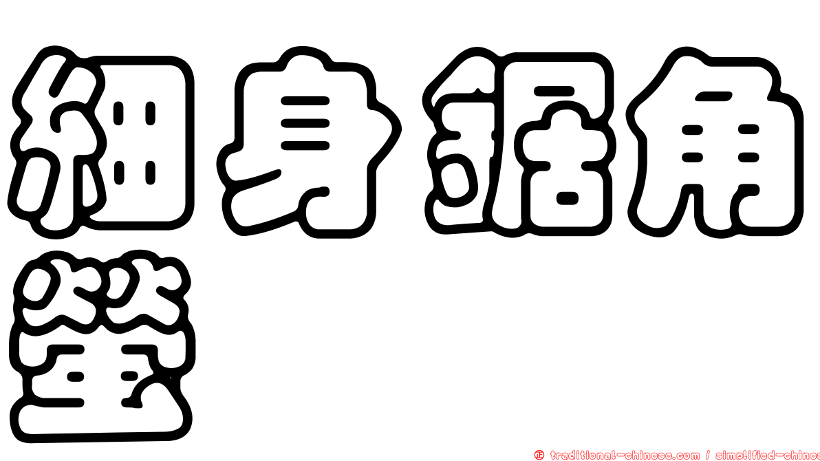 細身鋸角螢