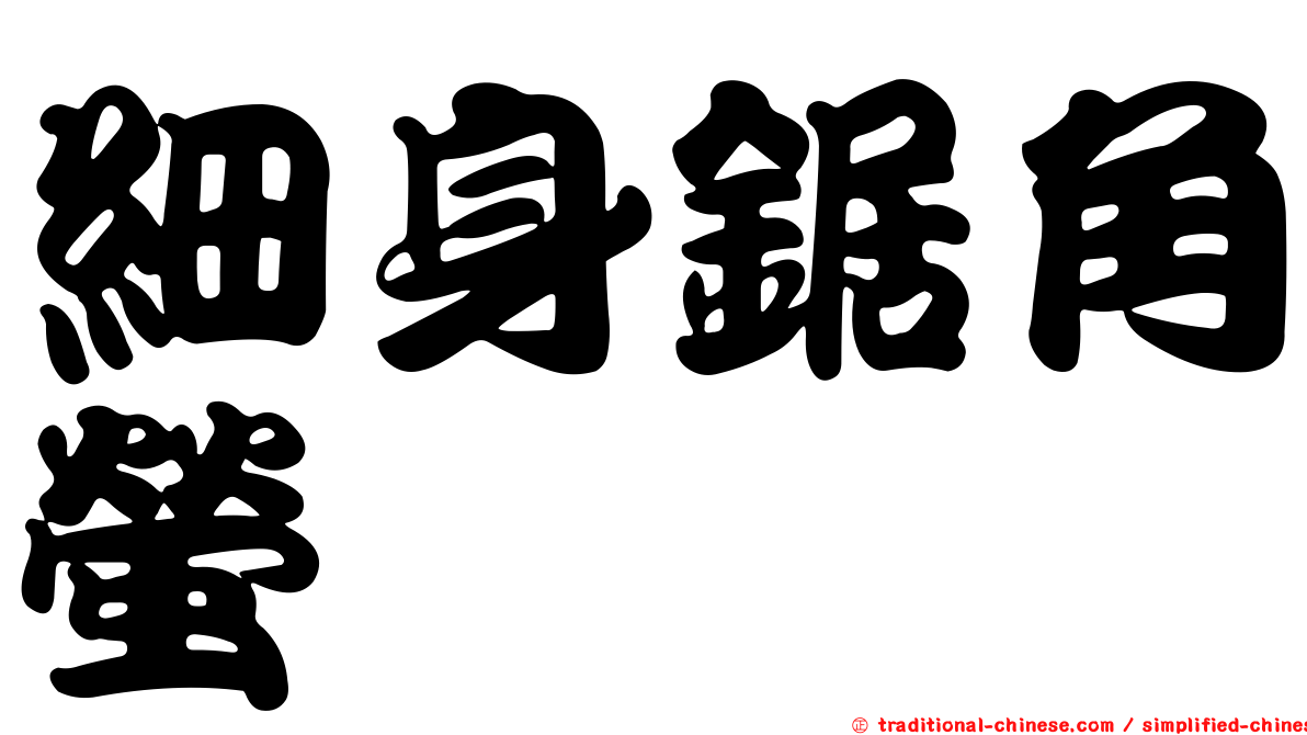 細身鋸角螢