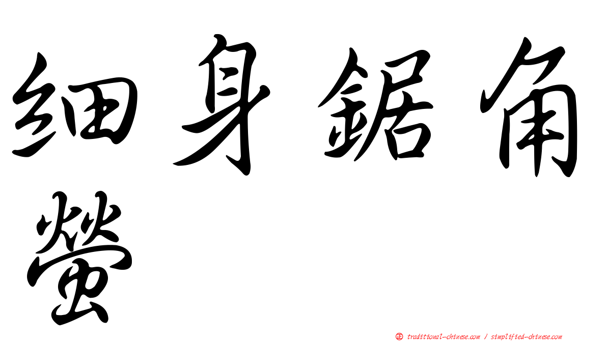 細身鋸角螢