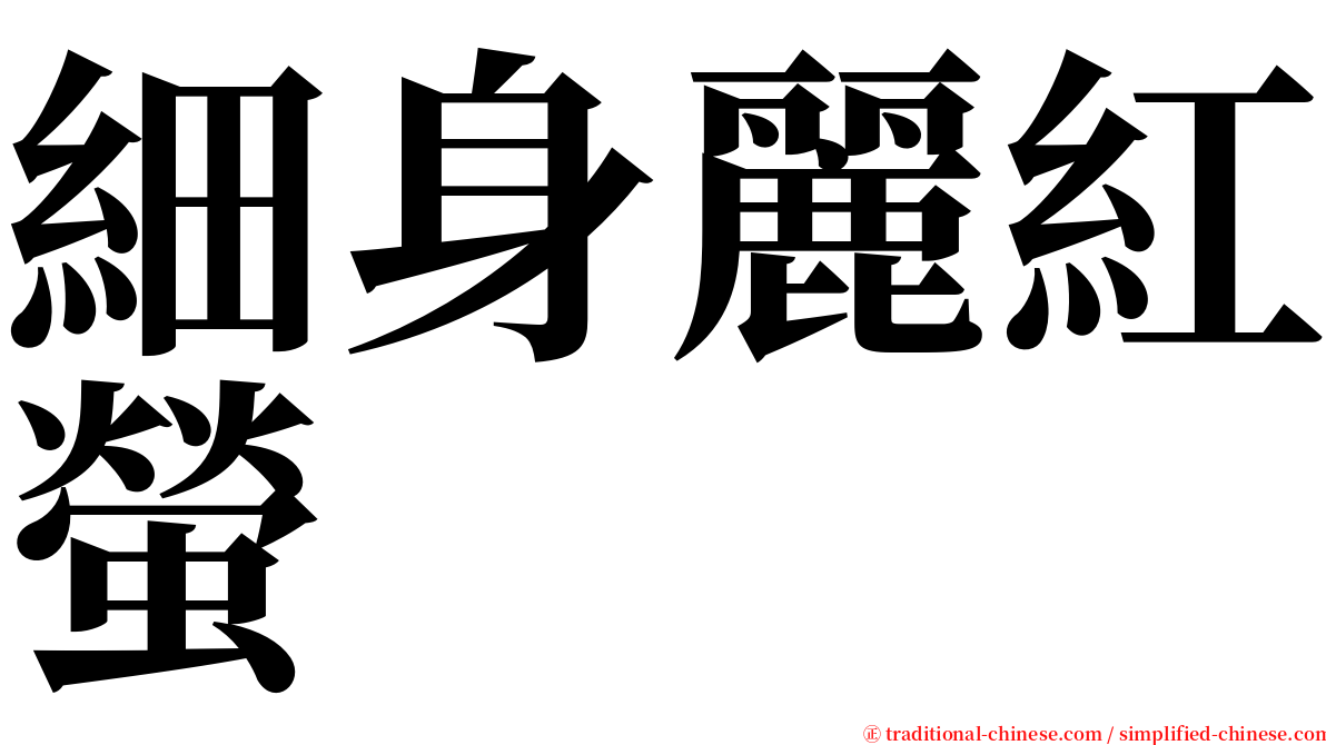 細身麗紅螢 serif font