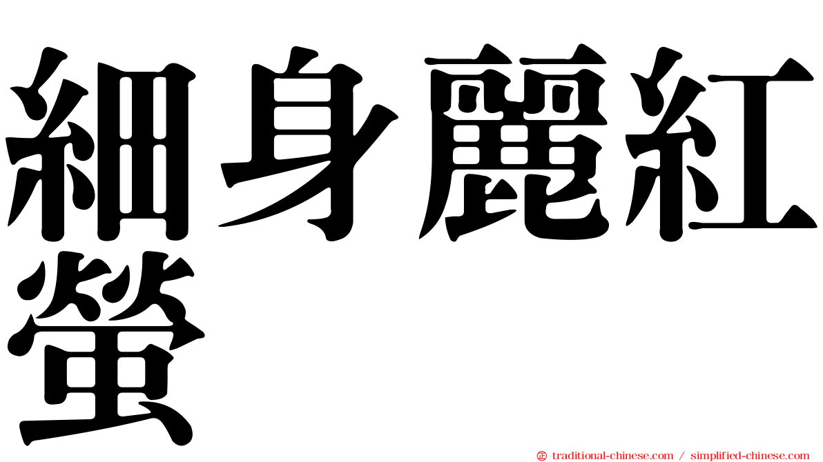 細身麗紅螢