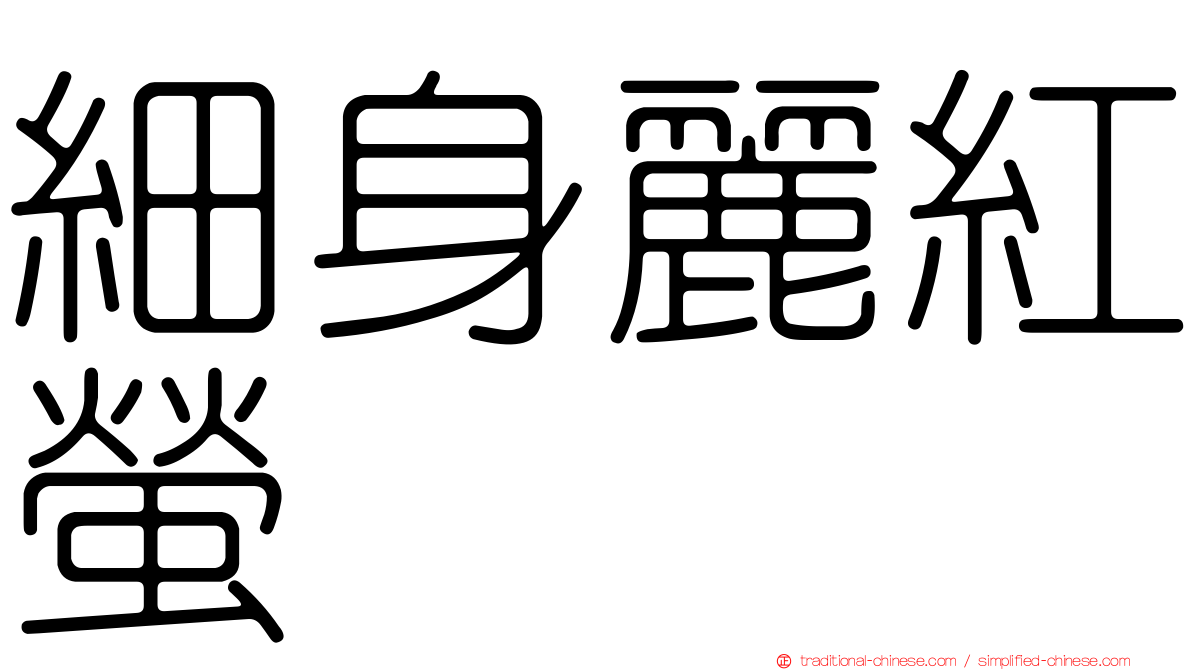 細身麗紅螢