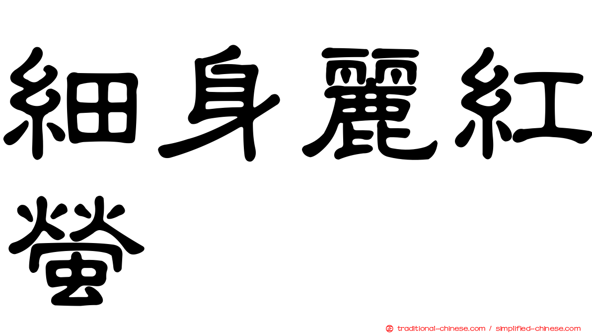 細身麗紅螢