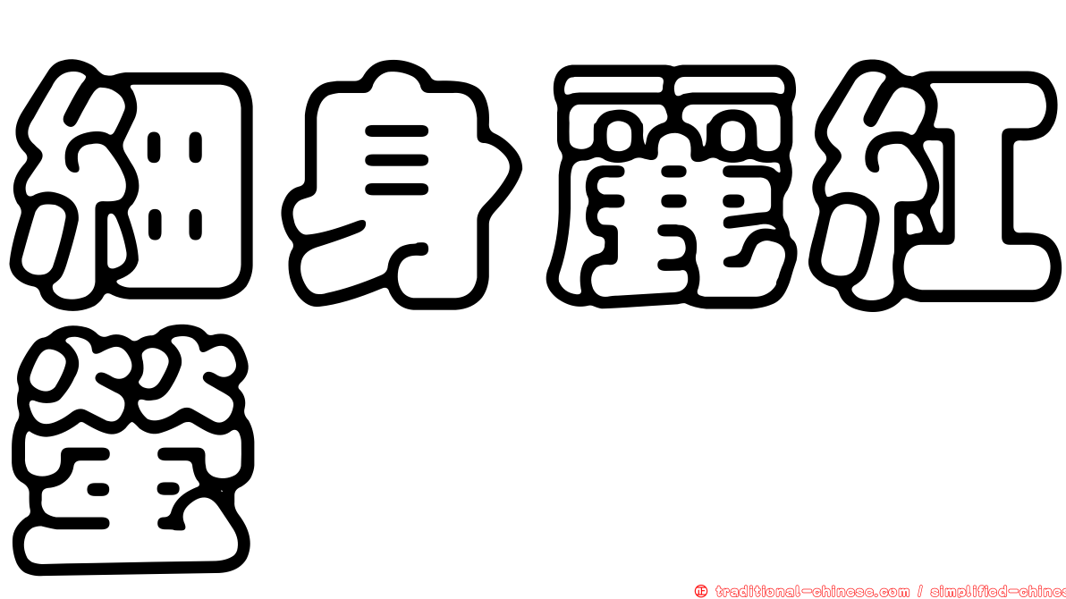 細身麗紅螢