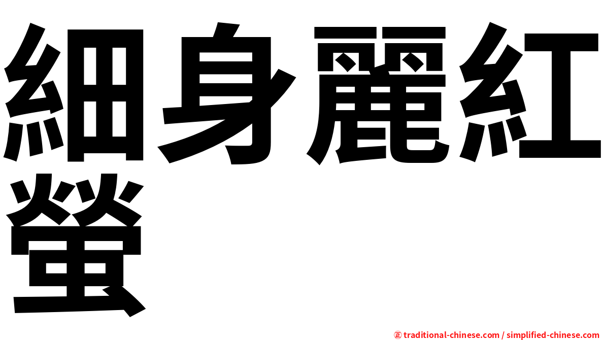 細身麗紅螢