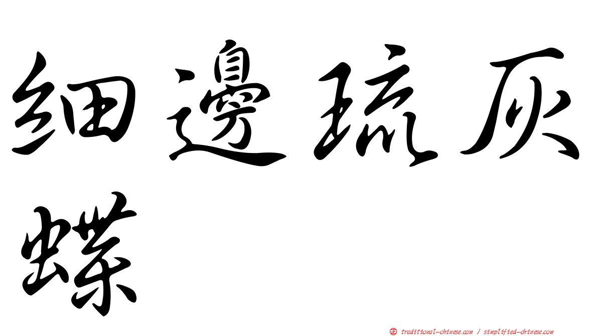 細邊琉灰蝶