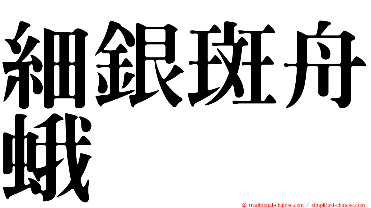 細銀斑舟蛾
