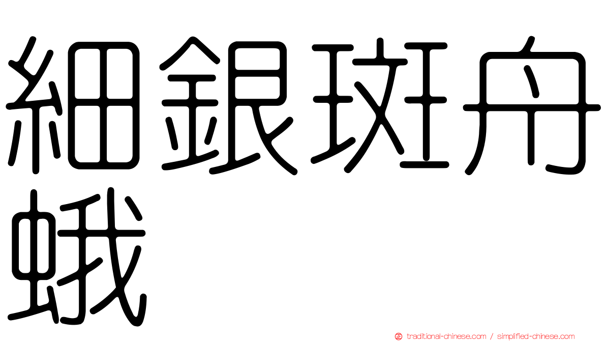 細銀斑舟蛾