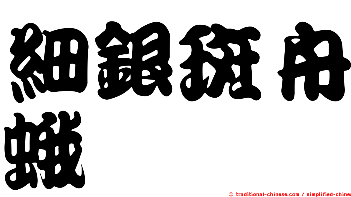 細銀斑舟蛾