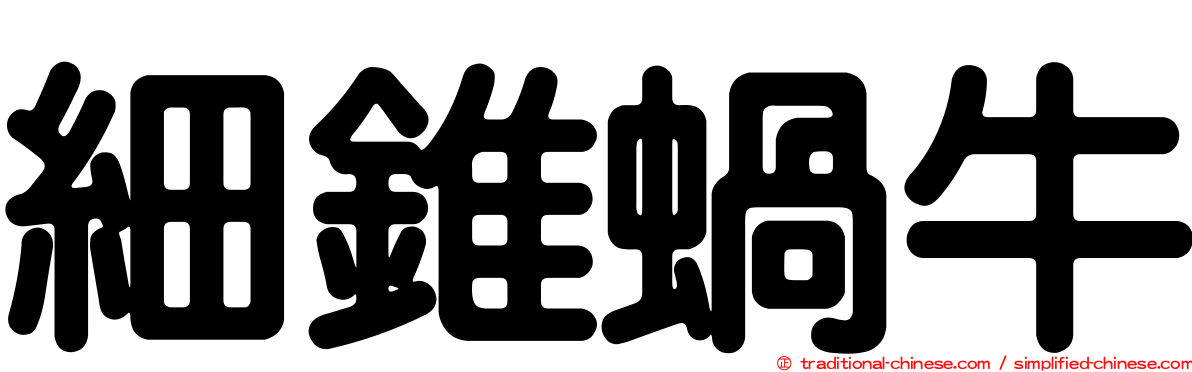 細錐蝸牛