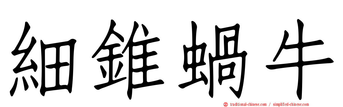 細錐蝸牛