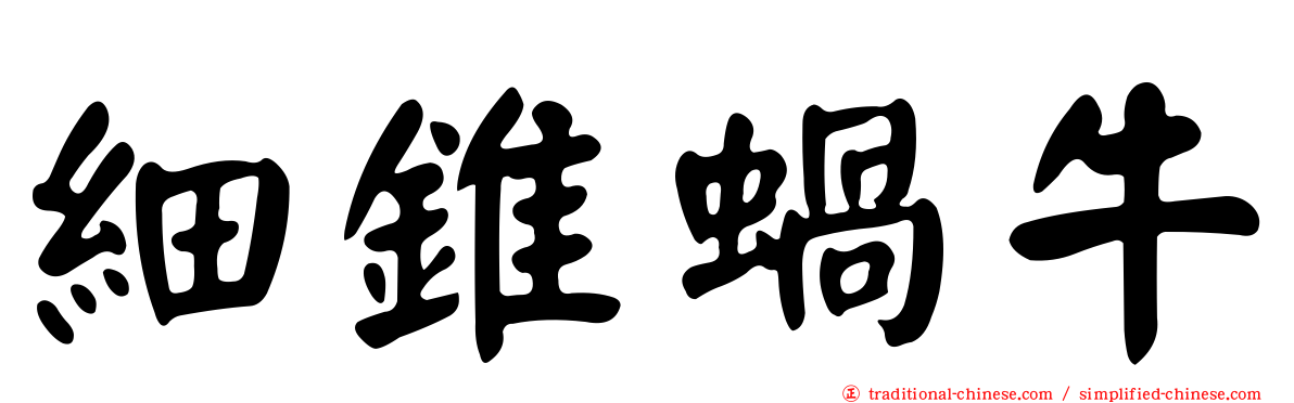 細錐蝸牛