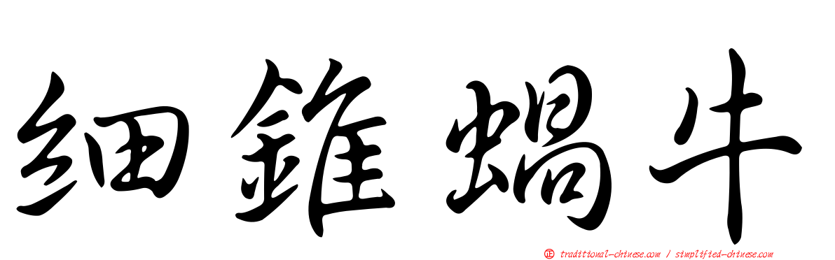 細錐蝸牛
