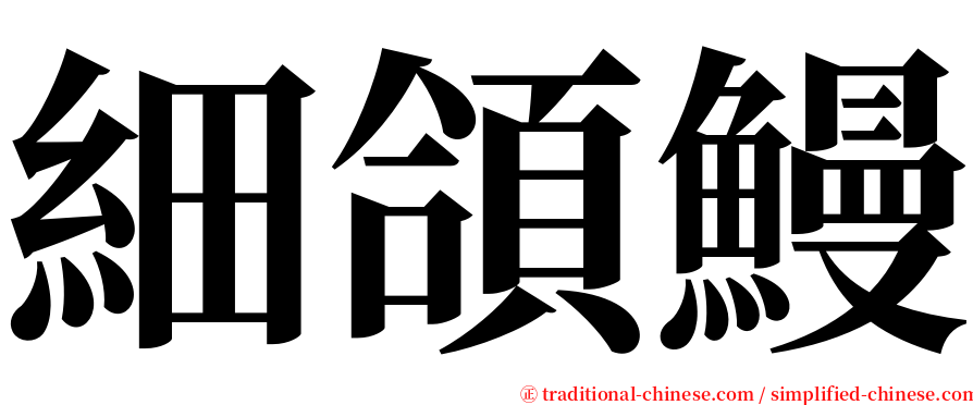 細頜鰻 serif font