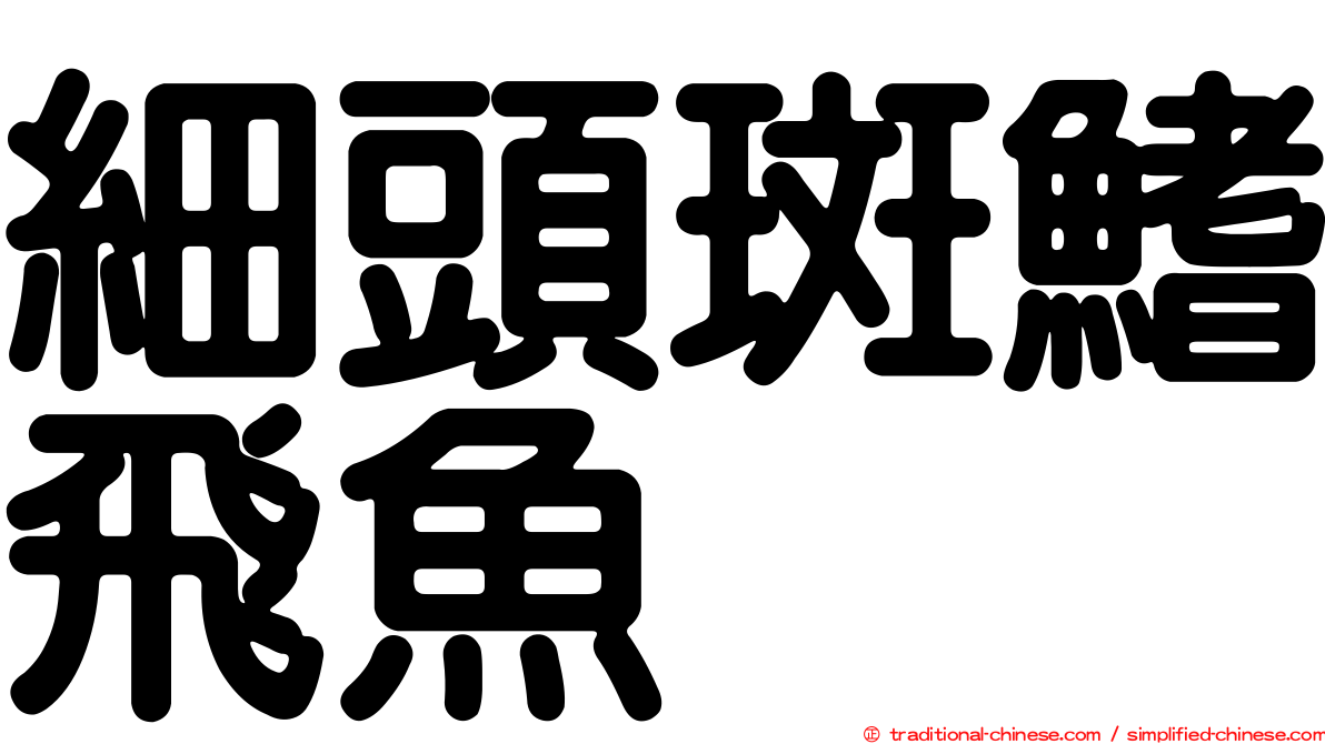 細頭斑鰭飛魚