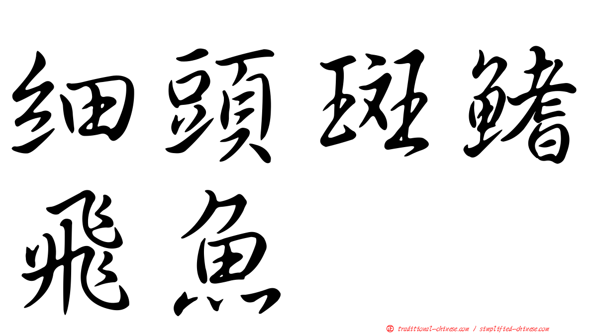細頭斑鰭飛魚