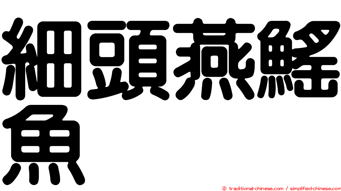 細頭燕鰩魚