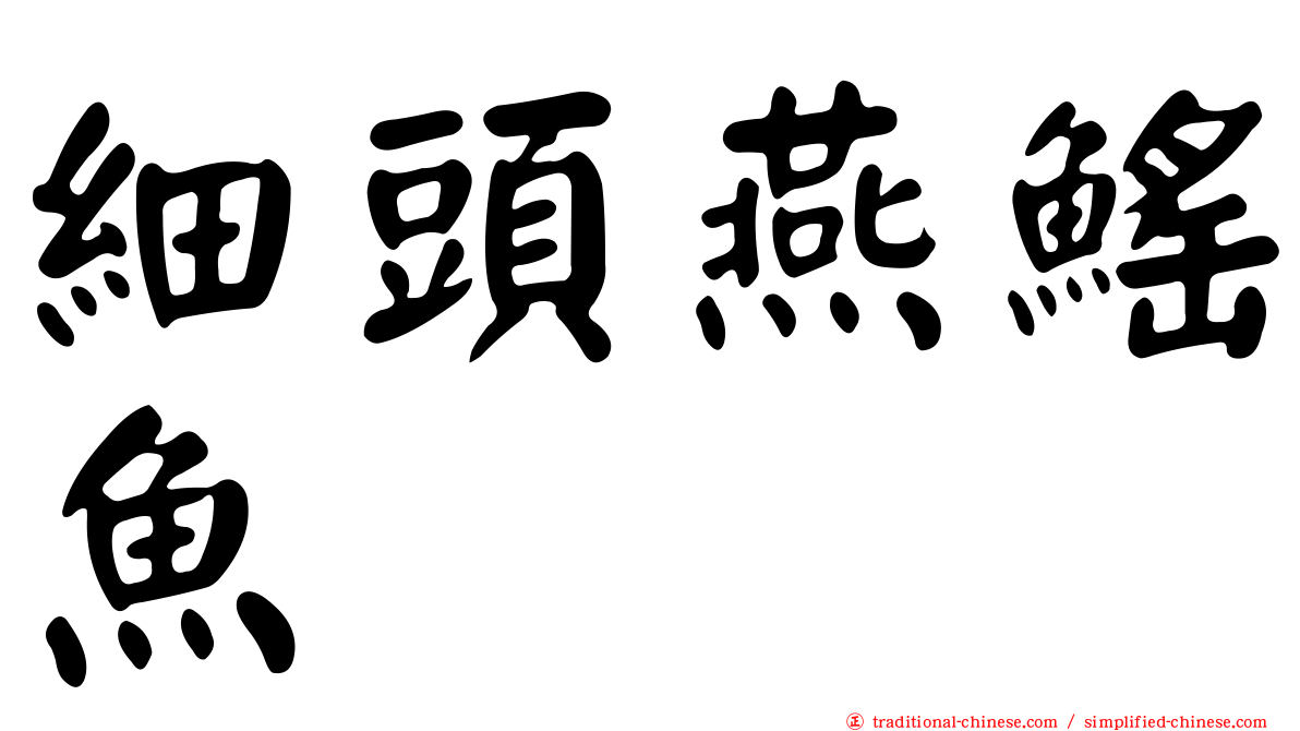 細頭燕鰩魚