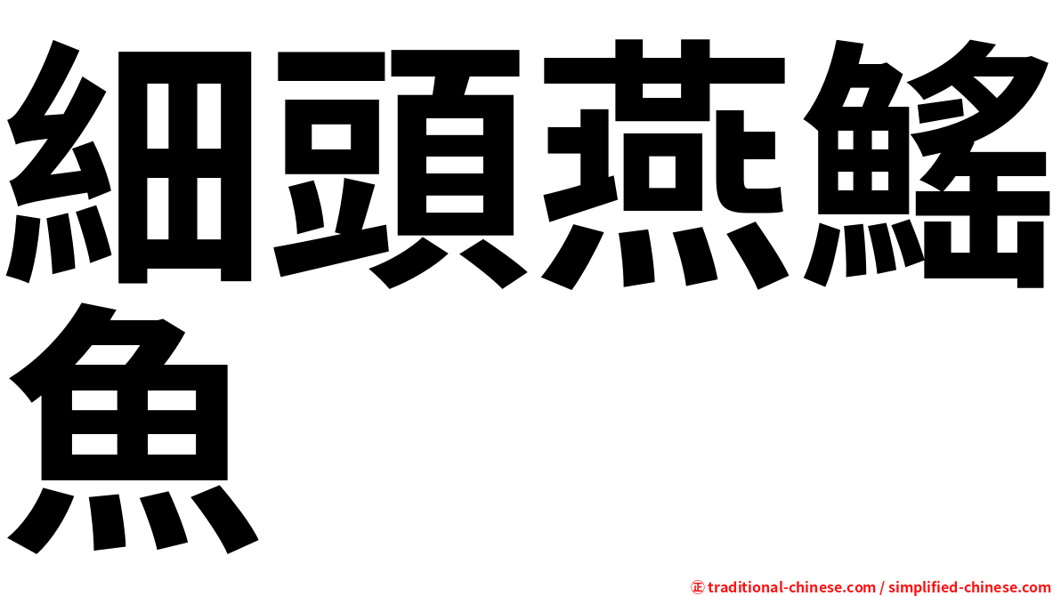 細頭燕鰩魚