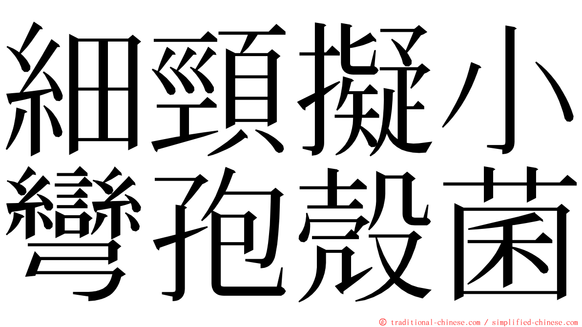 細頸擬小彎孢殼菌 ming font