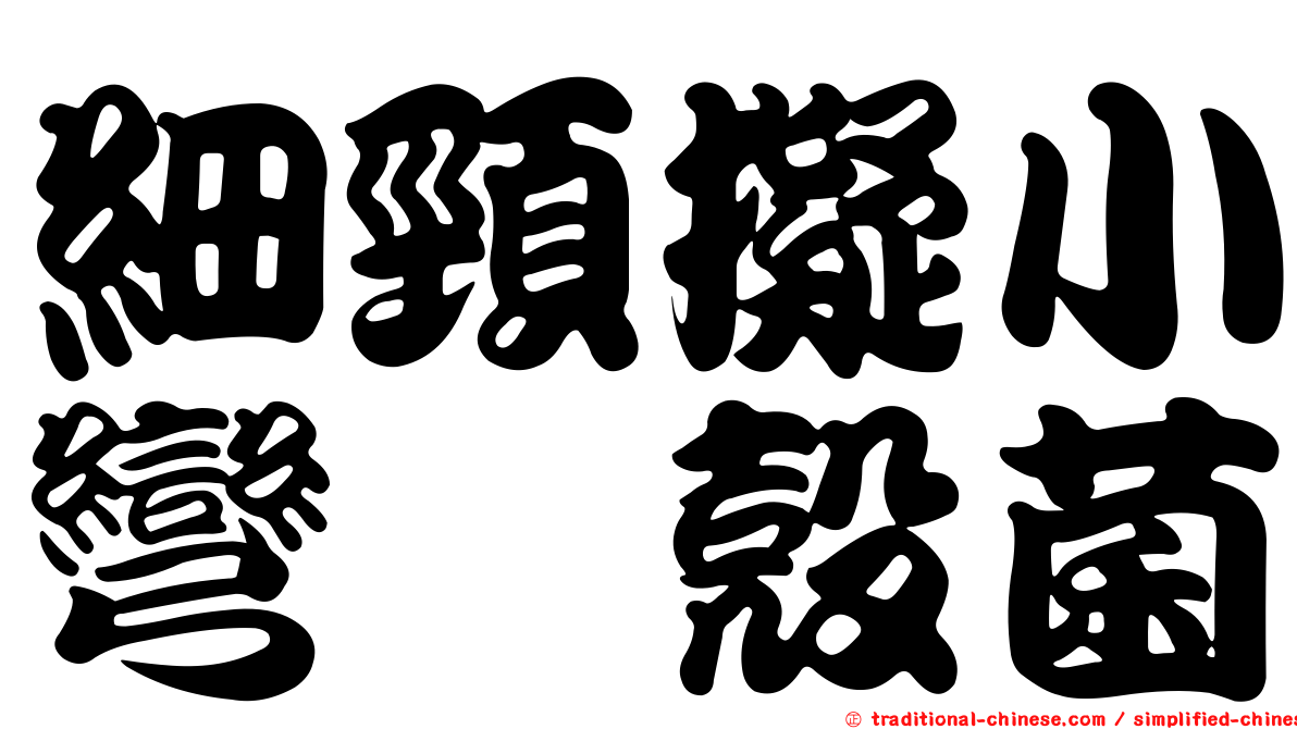 細頸擬小彎孢殼菌