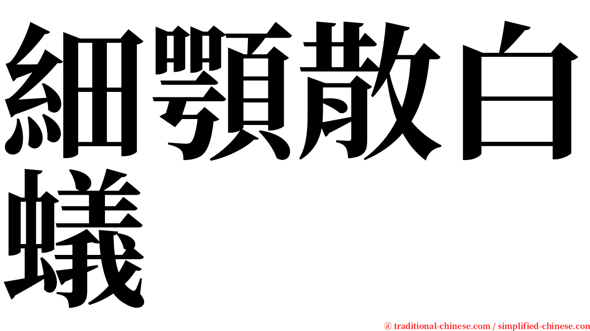 細顎散白蟻 serif font