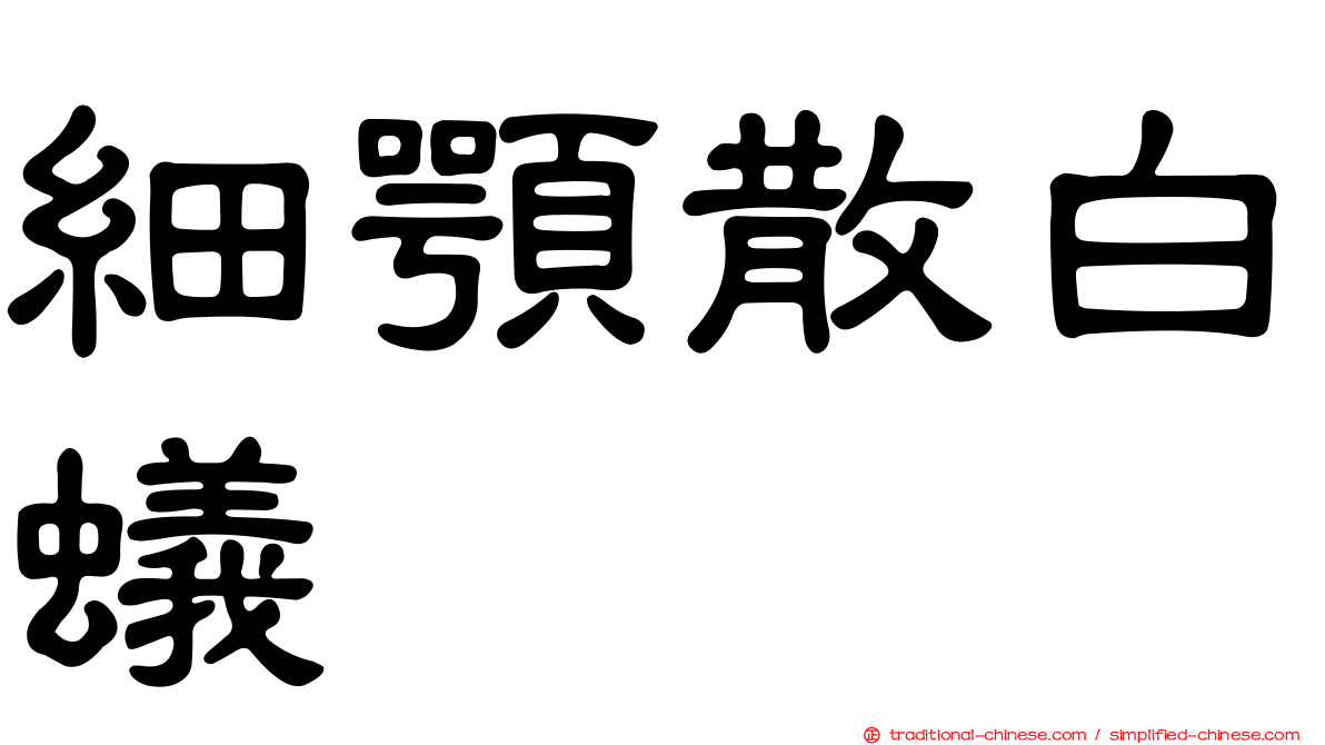 細顎散白蟻