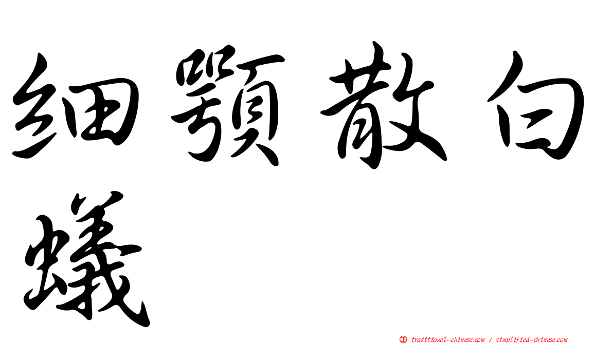 細顎散白蟻