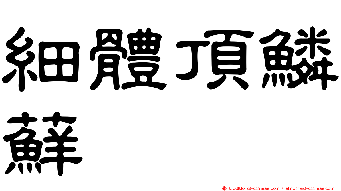 細體頂鱗蘚