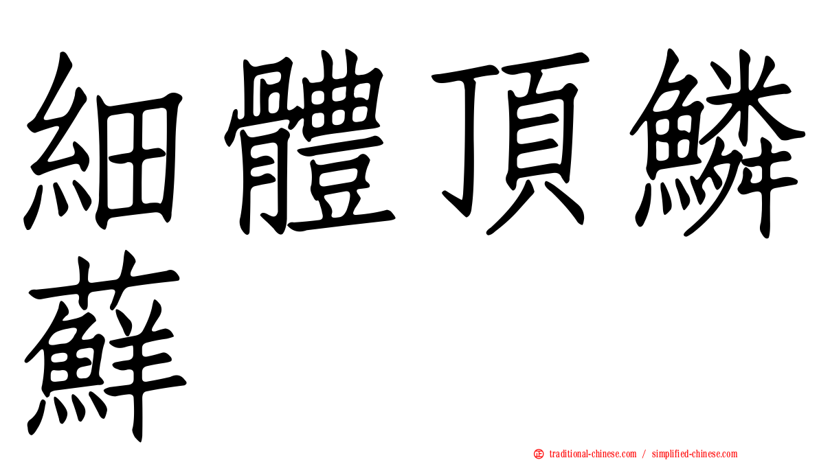 細體頂鱗蘚