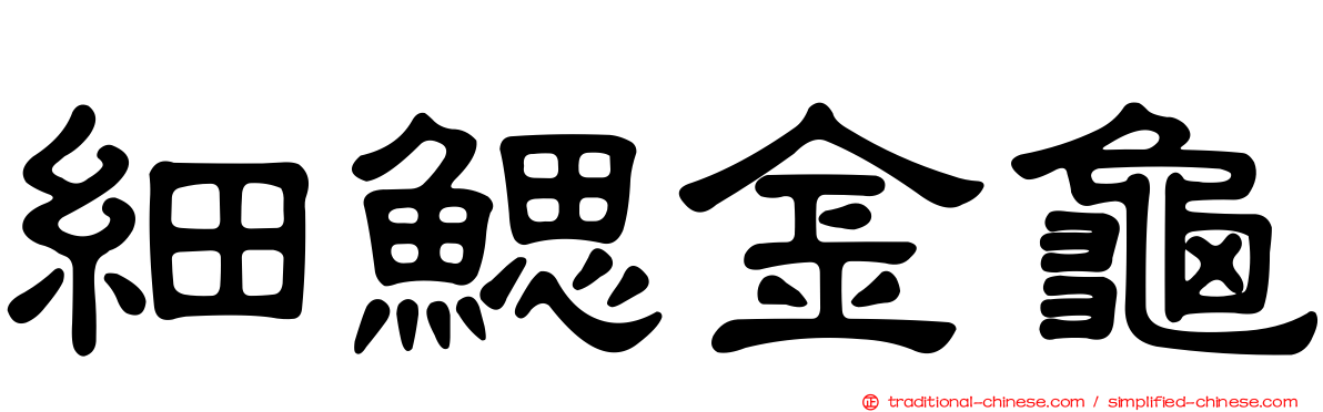 細鰓金龜