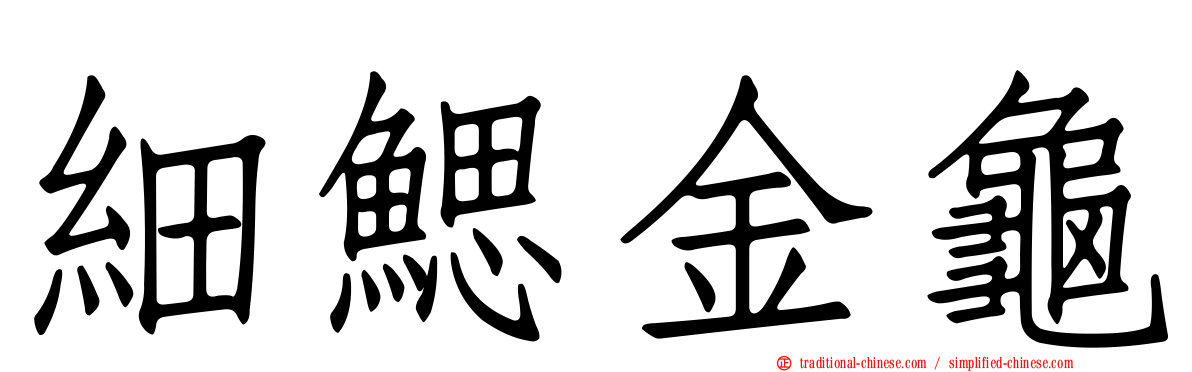 細鰓金龜