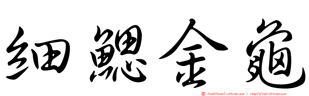 細鰓金龜