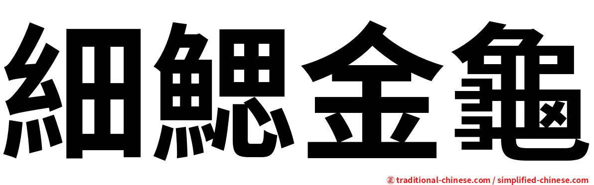 細鰓金龜