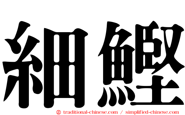 細鰹