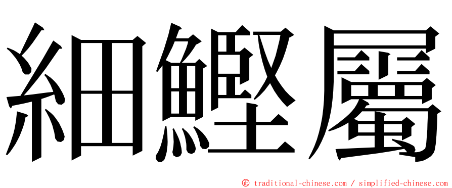 細鰹屬 ming font
