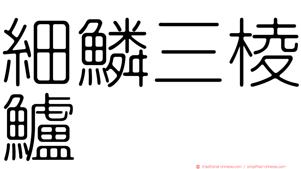 細鱗三棱鱸