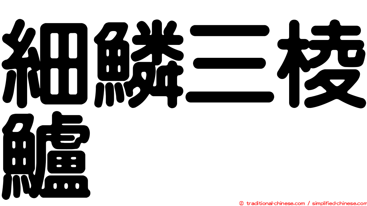 細鱗三棱鱸