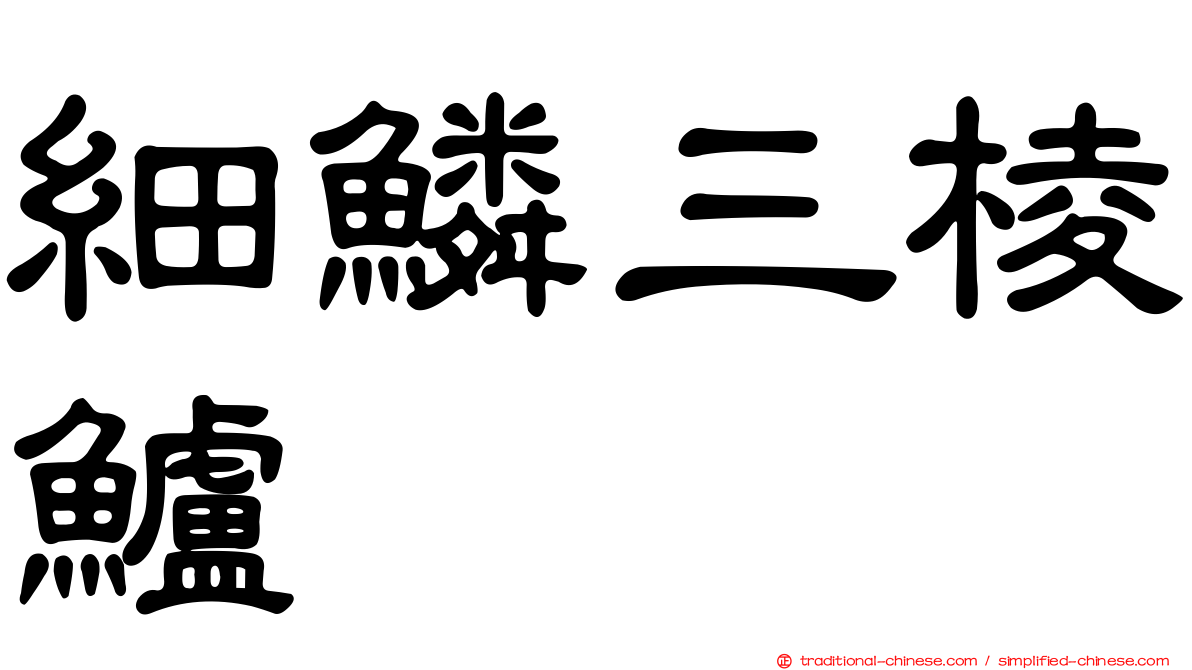 細鱗三棱鱸