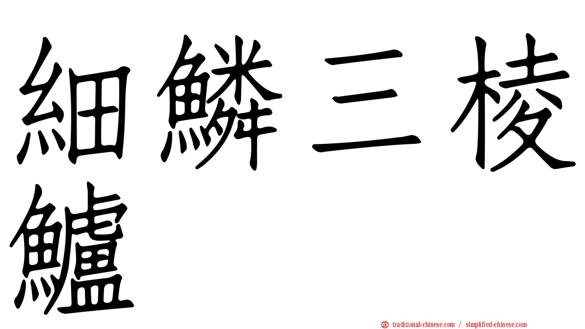 細鱗三棱鱸