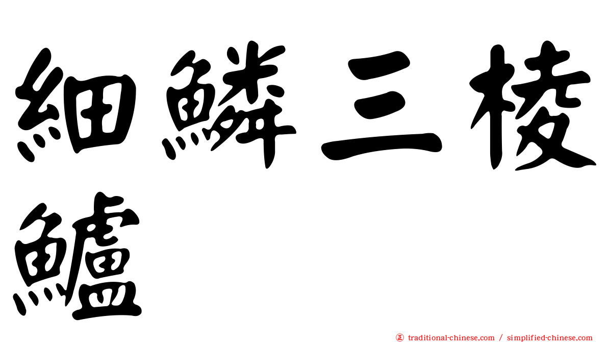 細鱗三棱鱸